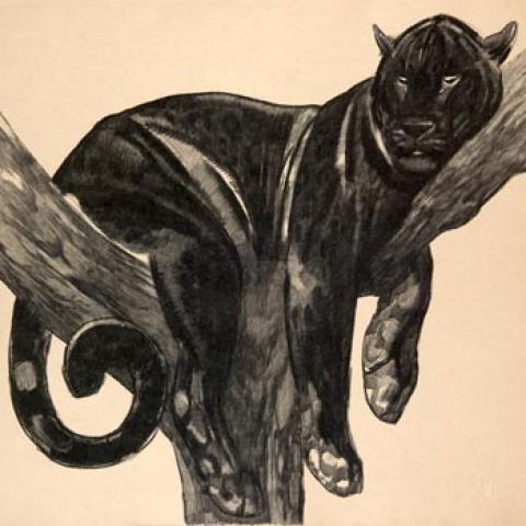 Lithographies